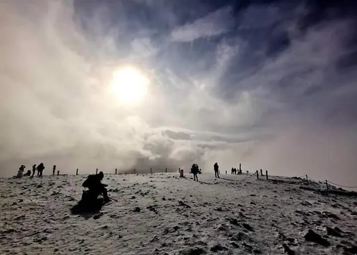 Pod 13 Appartement Kowary